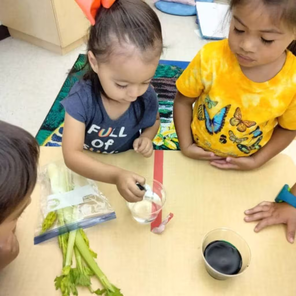 Kids having fun at KidBridge Academy Jefferson